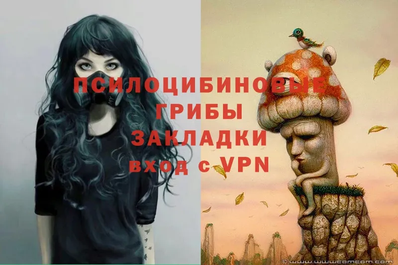 купить наркотик  Кодинск  Псилоцибиновые грибы Magic Shrooms 